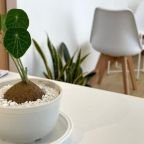 Como atrair pacientes particulares para o Consultório